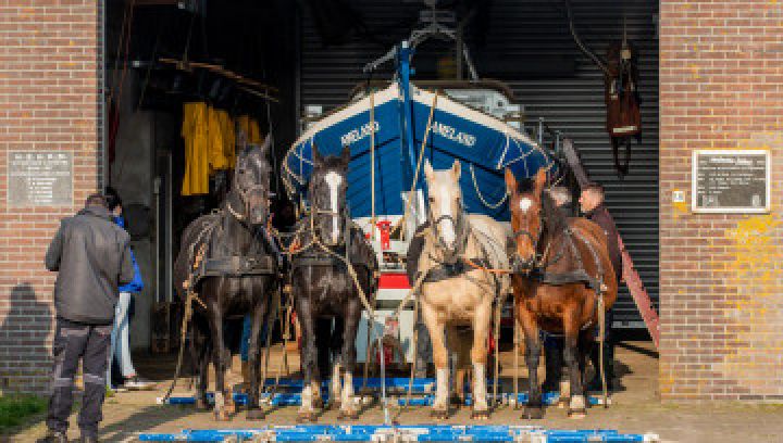 Demonstratie Paardenreddingsboot Ameland - VVV Ameland