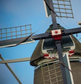 Koren- en Mosterdmolen - VVV Ameland