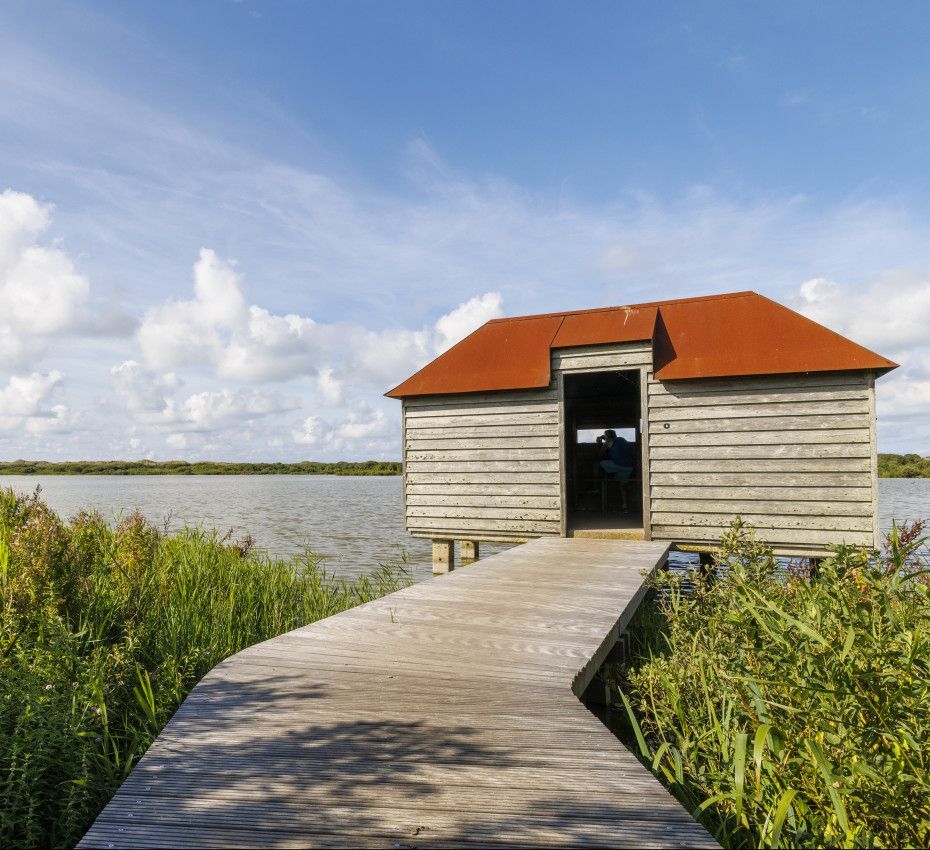 Natuur beleven doe je buiten! - VVV Ameland