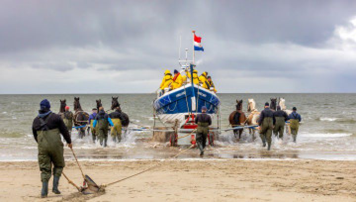 Demonstratie paardenreddingsboot Ameland - VVV Ameland