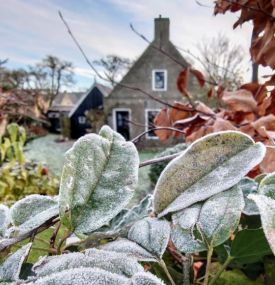 Winterse ontdekkers - VVV Ameland