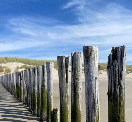 Strandposten lifeguards - VVV Ameland