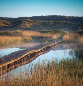 Kunstmaandarrangement - VVV Ameland