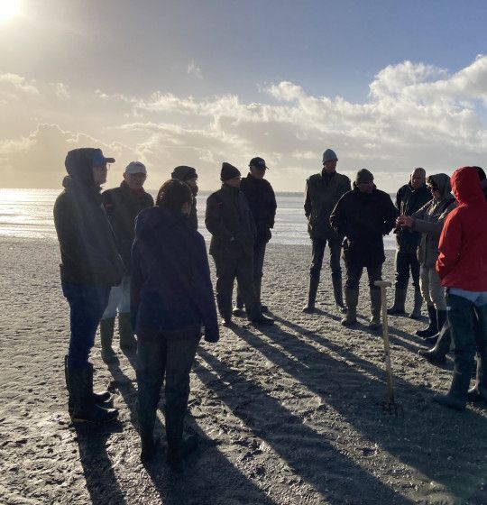 Herfst en najaar op Ameland - VVV Ameland