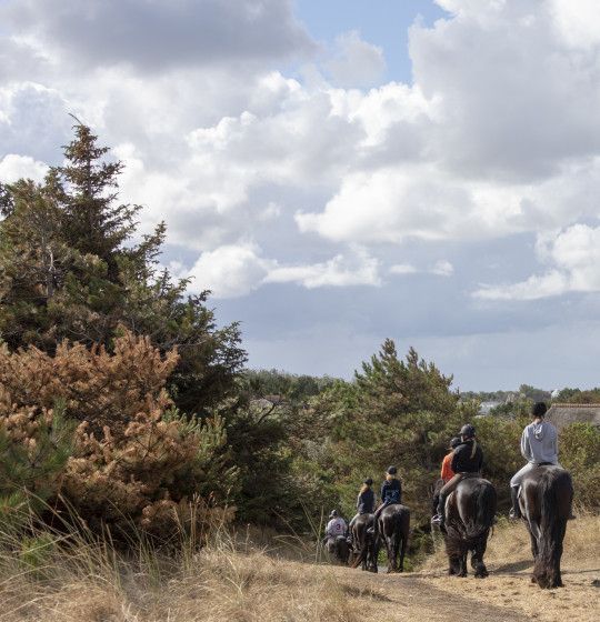 Herfst en najaar op Ameland - VVV Ameland