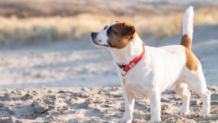 Herfst en najaar op Ameland - VVV Ameland