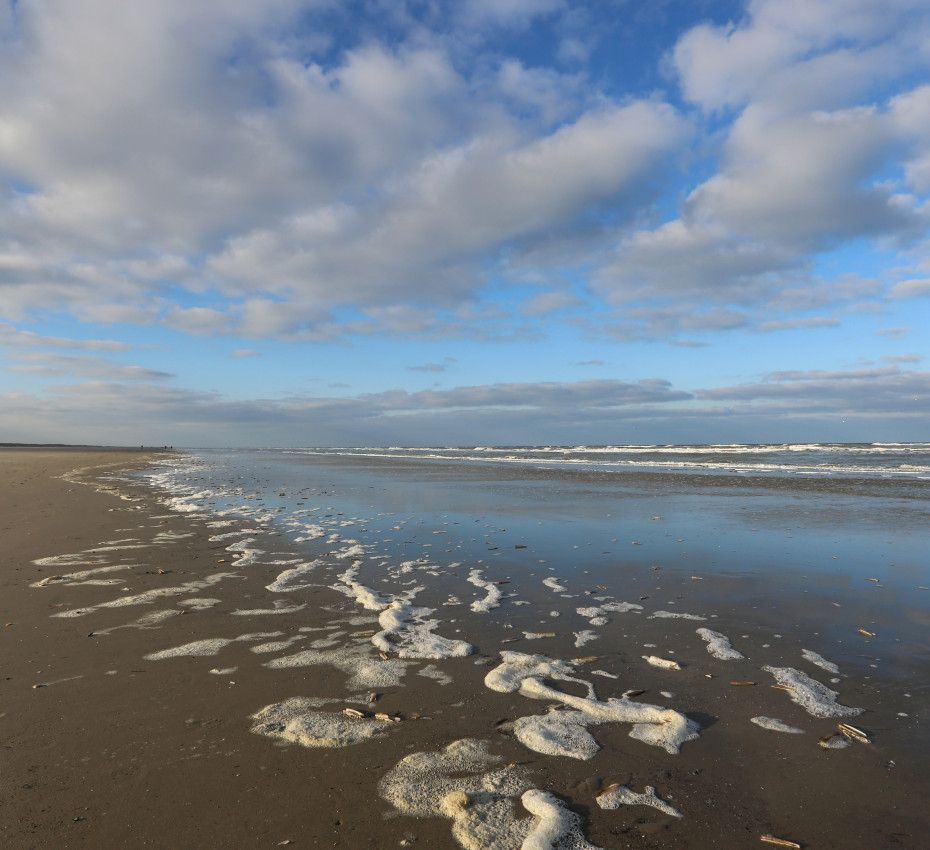 Wat te doen als je in een mui komt - VVV Ameland