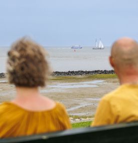 de Waddenzeedijk - VVV Ameland