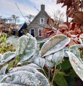 10x de leukste activiteiten op Ameland tijdens de kerstvakantie- VVV Ameland