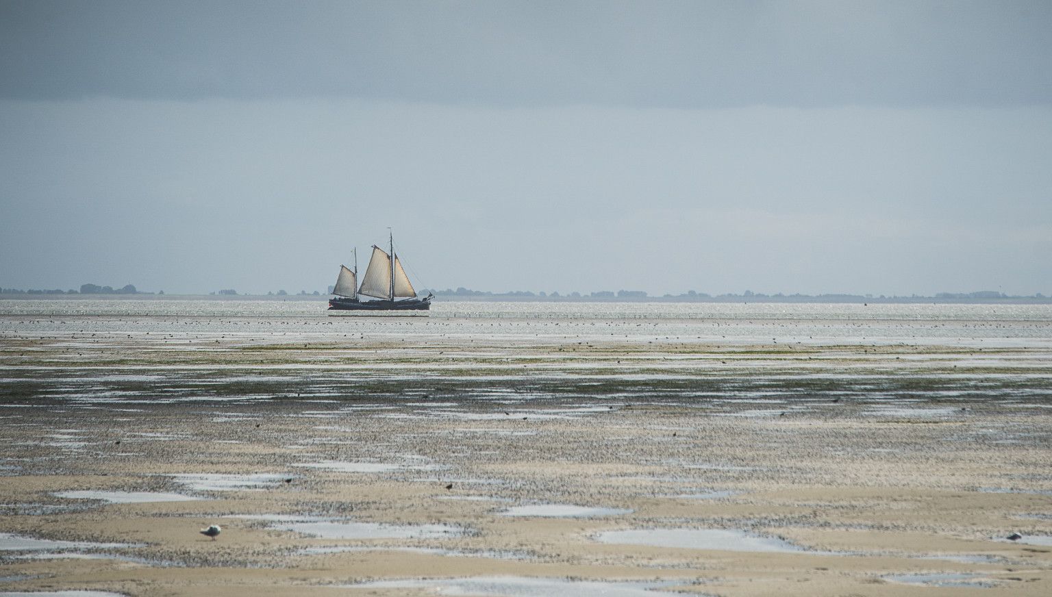 Ritme van eb en vloed - VVV Ameland