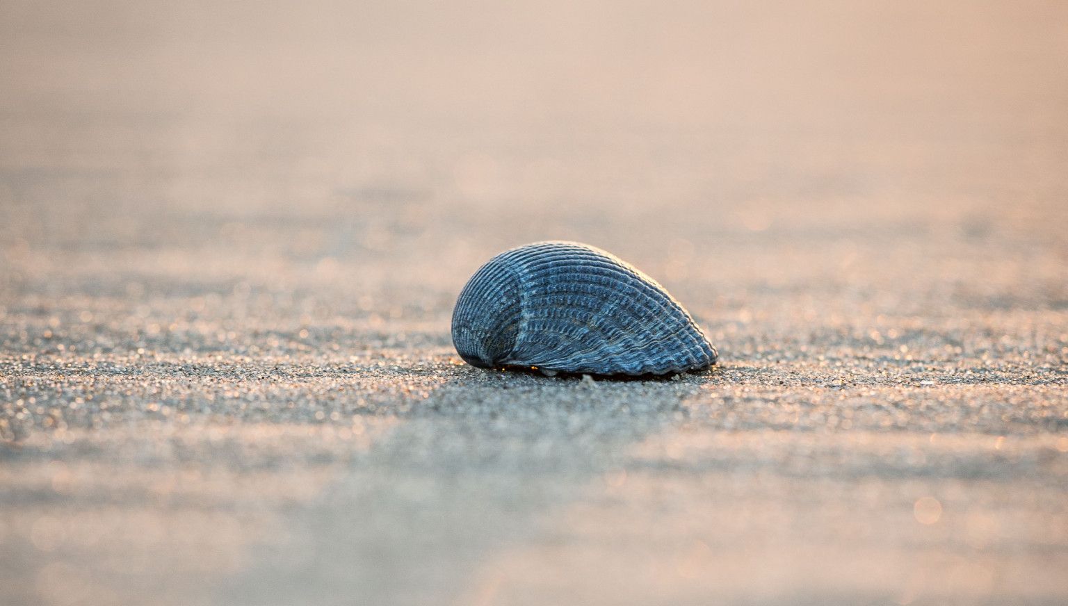 10 x leuke binnenactiviteiten op Ameland - VVV Ameland