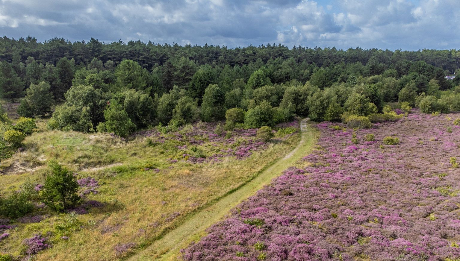 Meer informatie en handige downloads - VVV Ameland