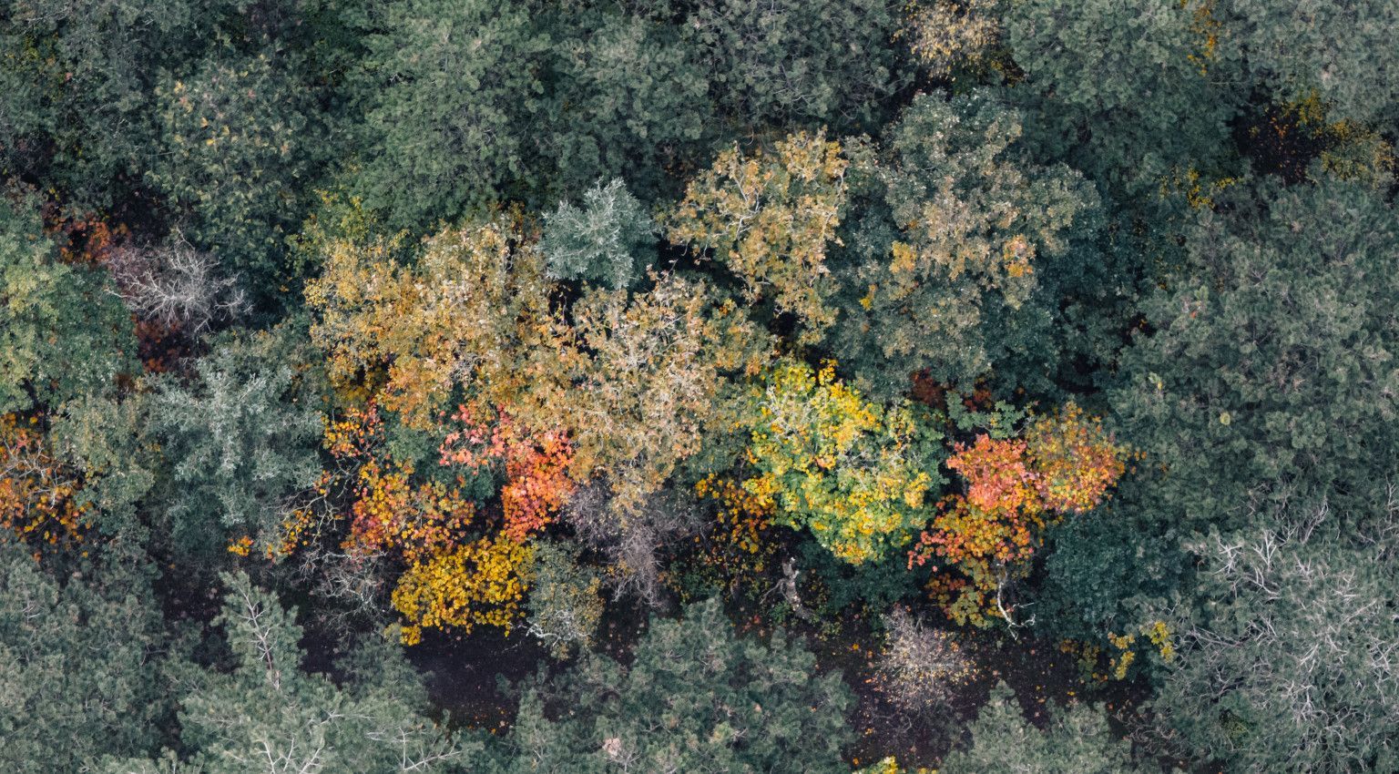 Herfst en najaar op Ameland - VVV Ameland