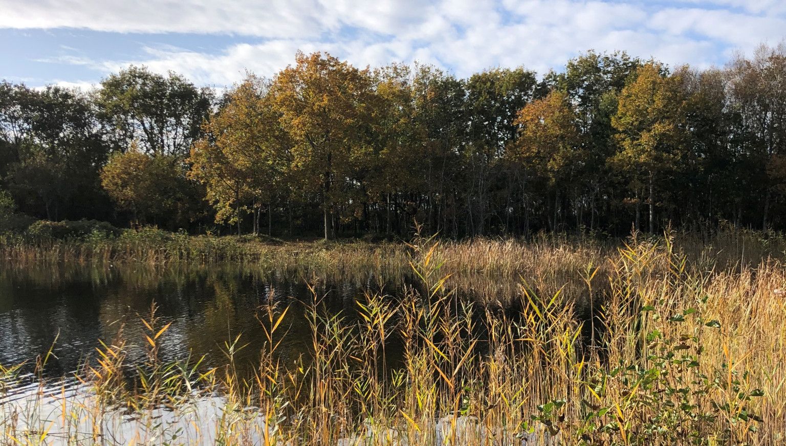 Herfst en najaar op Ameland - VVV Ameland