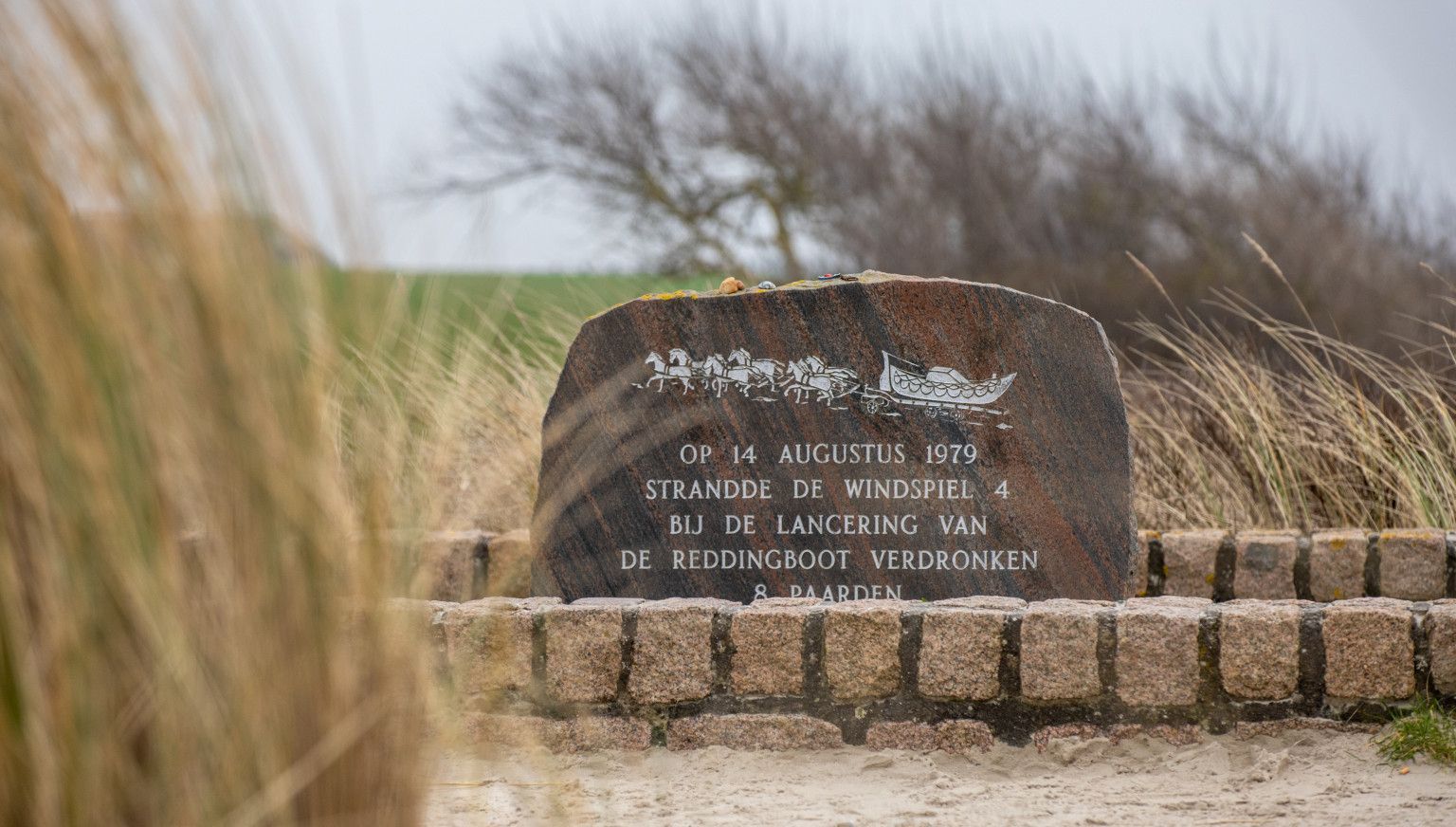 Demonstratie paardenreddingsboot Ameland - VVV Ameland