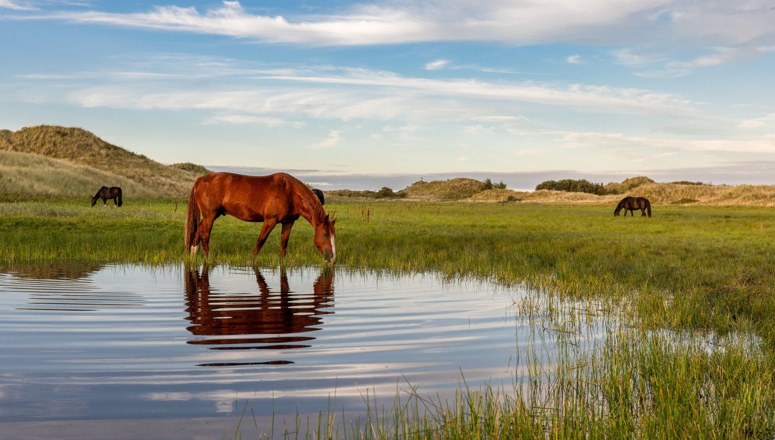 Goede voornemens? Begin op Ameland! - VVV Ameland