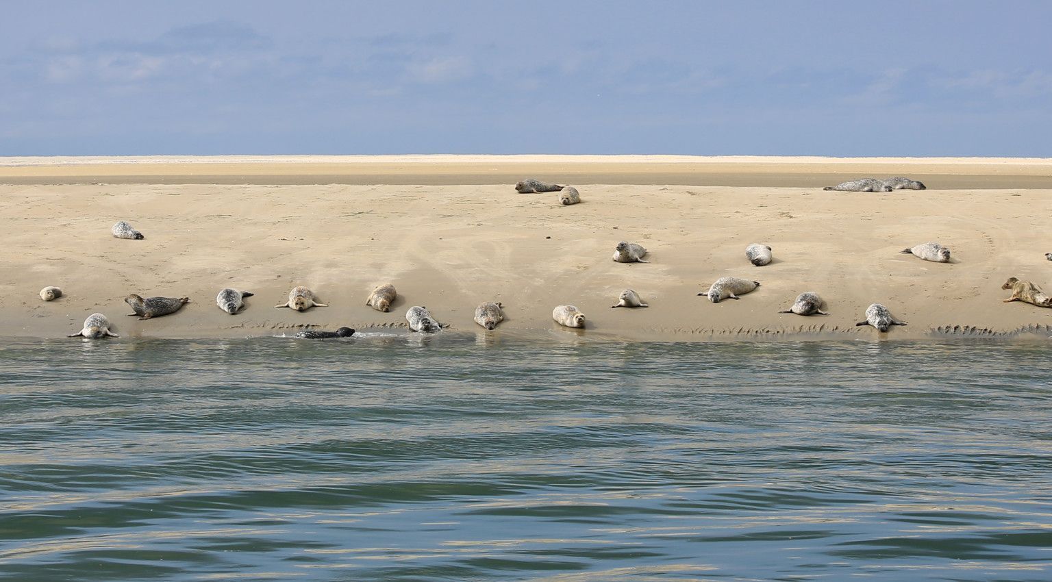 Waddenhoppen - VVV Ameland