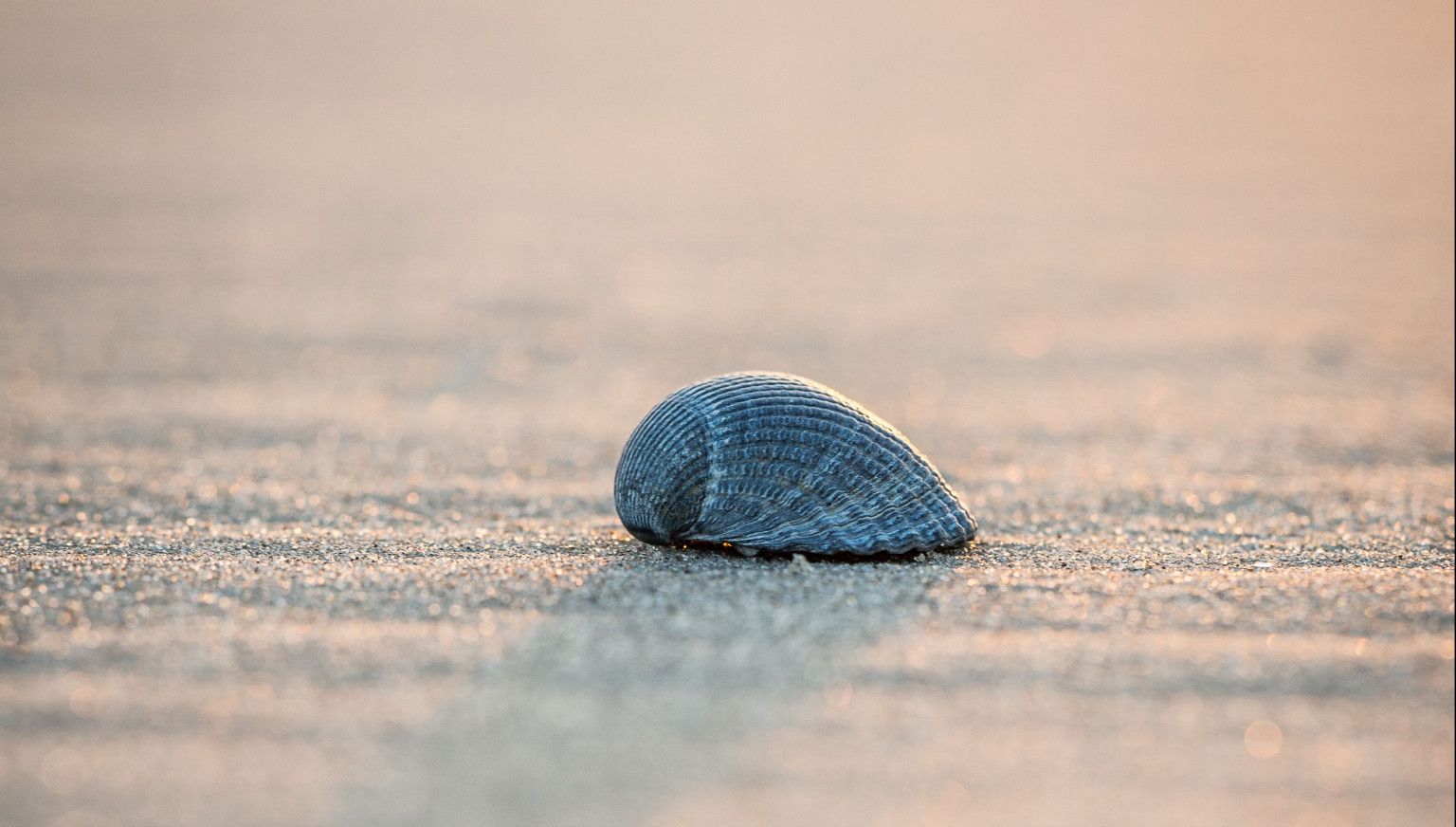 Ameland in de winter: rust, ruimte en gezelligheid - 7 tips  - VVV Ameland