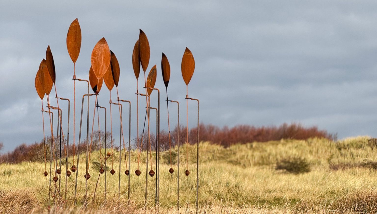 November Kunstmaand - VVV Ameland