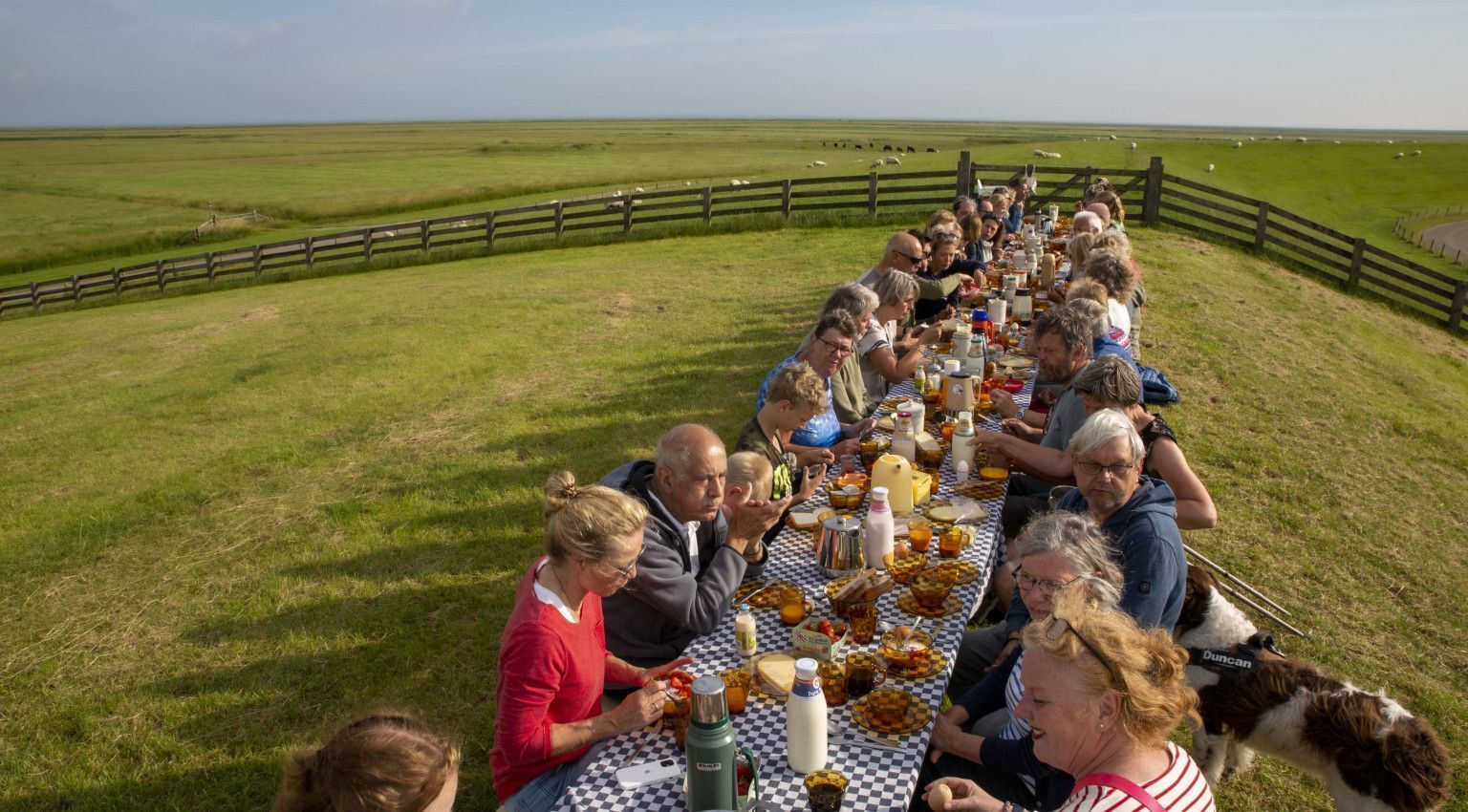 Dag van het Wad - VVV Ameland.nl