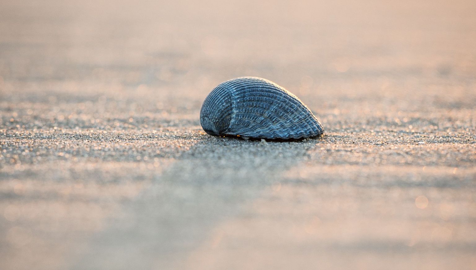 10 x leuke binnenactiviteiten op Ameland - VVV Ameland