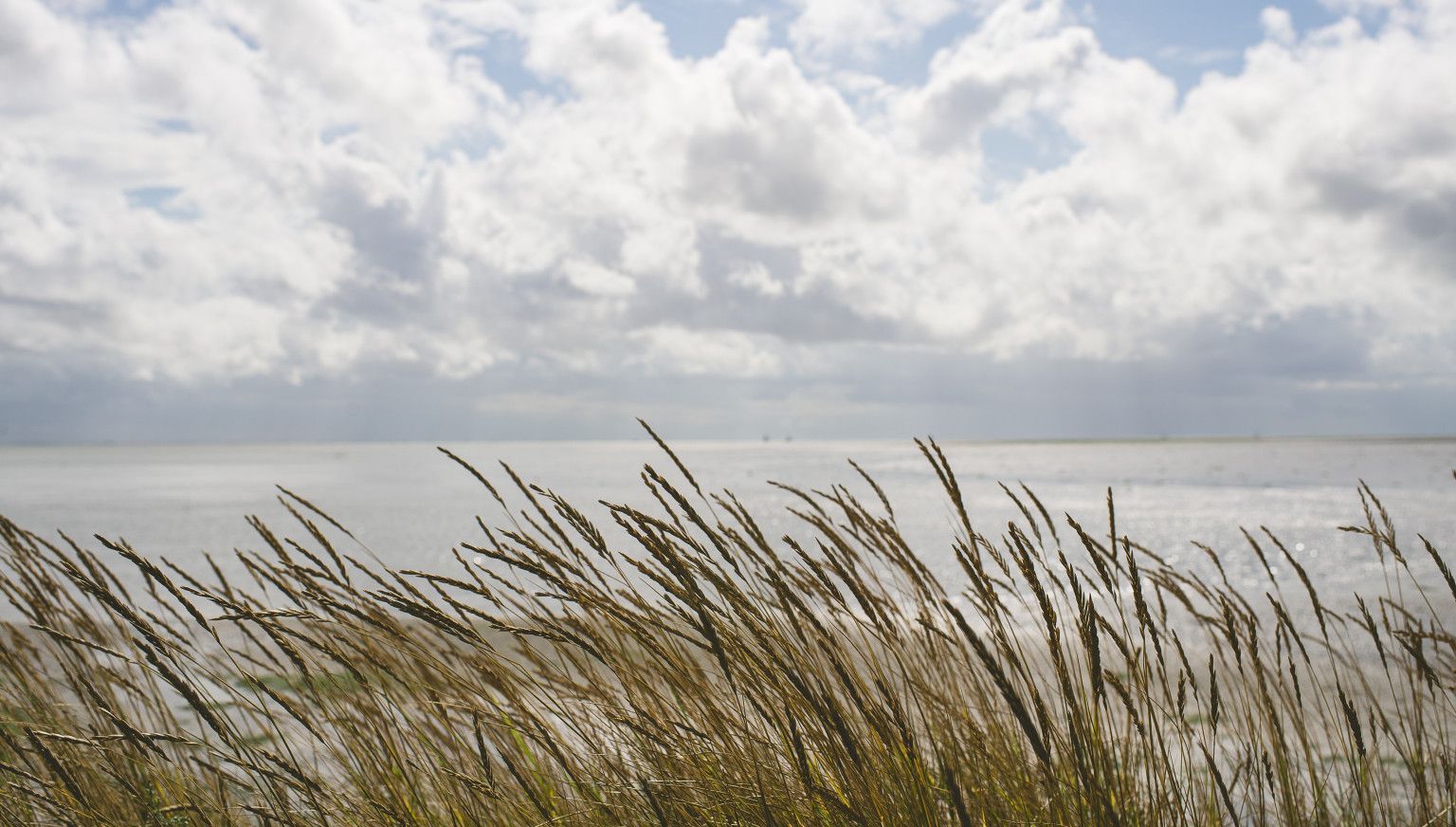 Verschillen per locatie - VVV Ameland