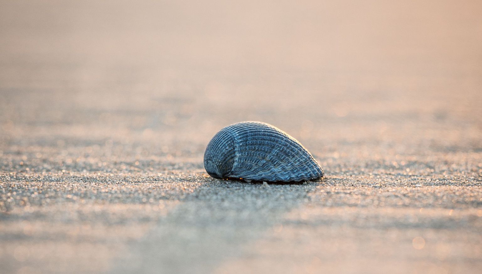 10 x leuke binnenactiviteiten op Ameland - VVV Ameland