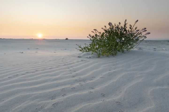 Caravans Ballum - VVV Ameland