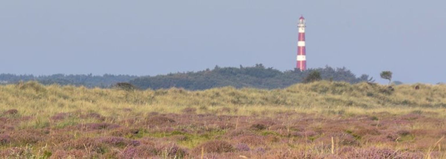 Veelgestelde vragen over groepen op Ameland - VVV Ameland