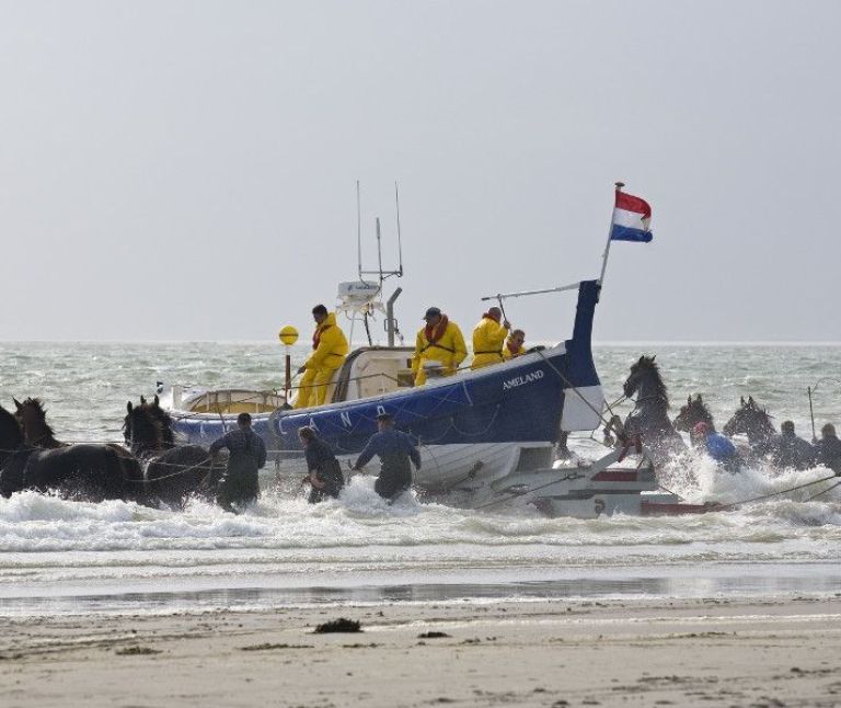 Spreekbeurtpakket Ameland - De paardenreddingboot gaat wel eens uit.