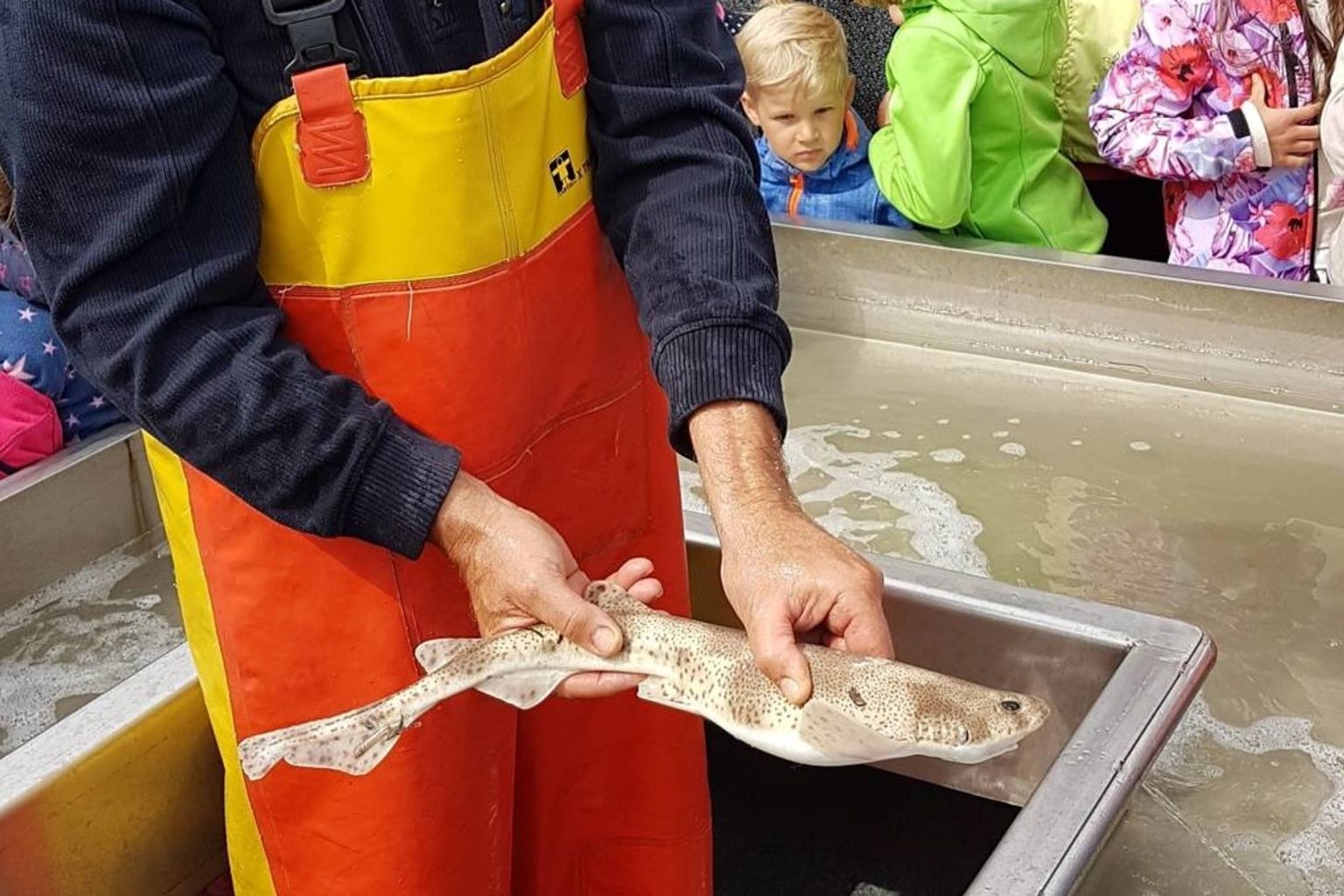 Boottocht naar de zeehonden & Sleepnetvissen