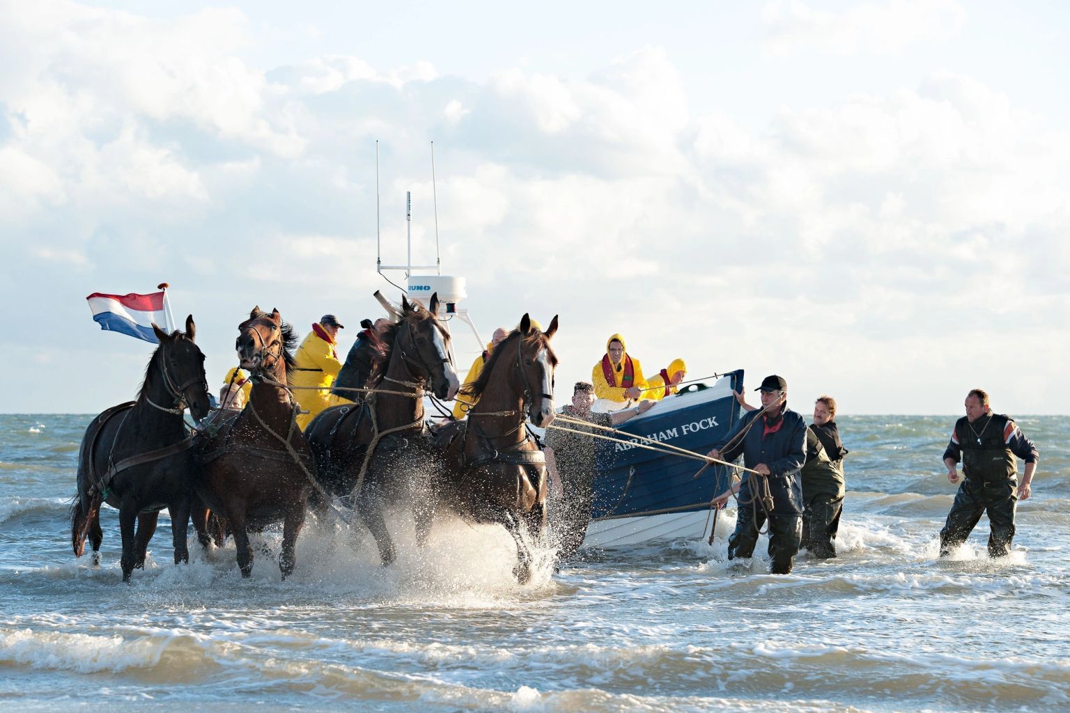 Robbentocht en lancering Paardenreddingboot Ms Zeehond