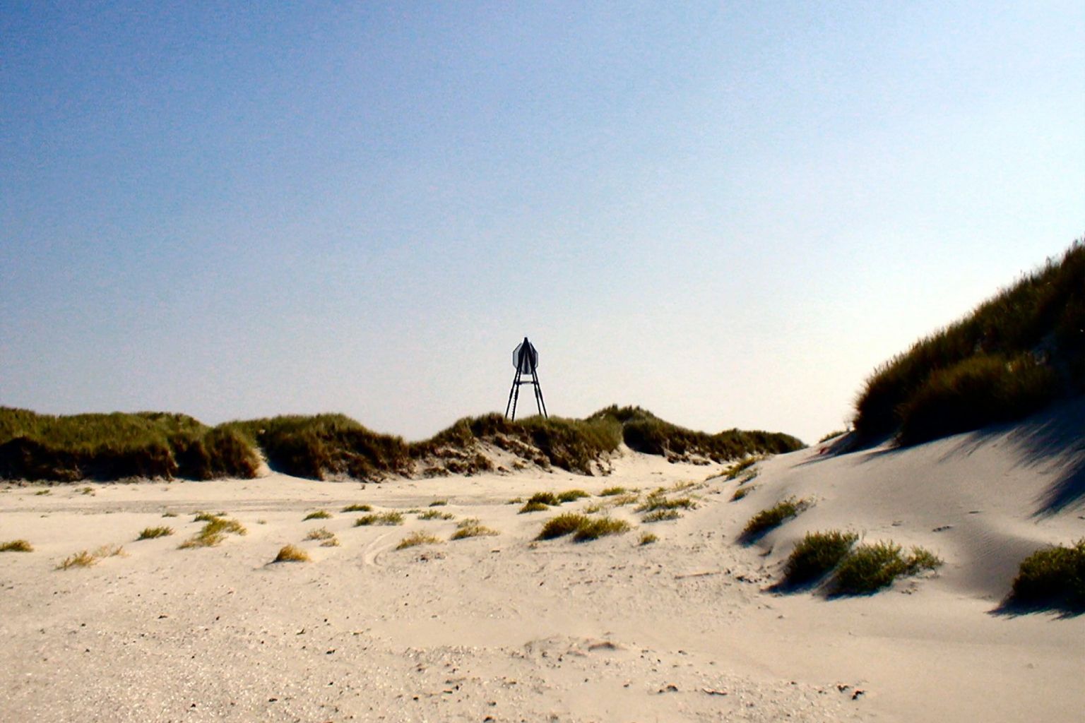 Strandrit naar natuurgebied het Oerd