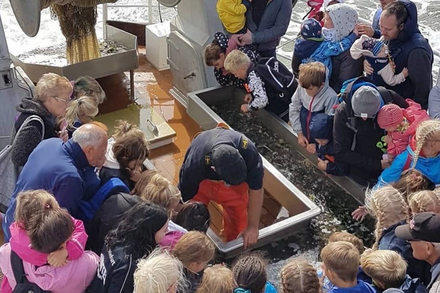 Boottocht naar de zeehonden & Sleepnetvissen