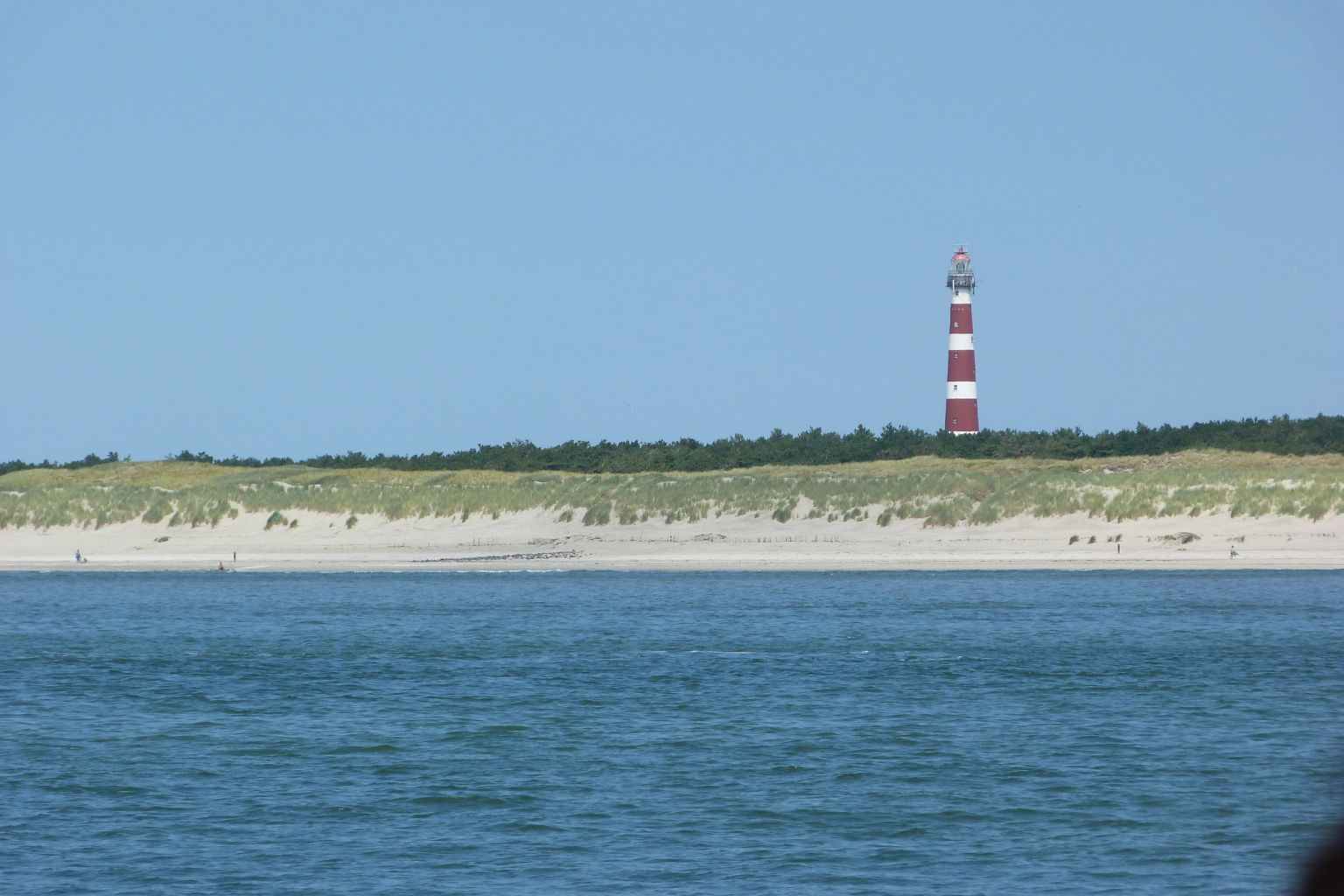 Robben- en Schelpenbanktocht met MS Zeehond