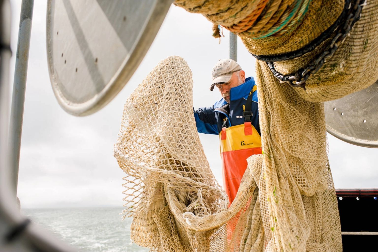 Boottocht naar de zeehonden & Sleepnetvissen