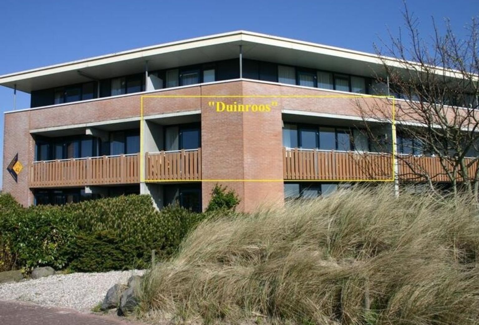 Duinroos 42J