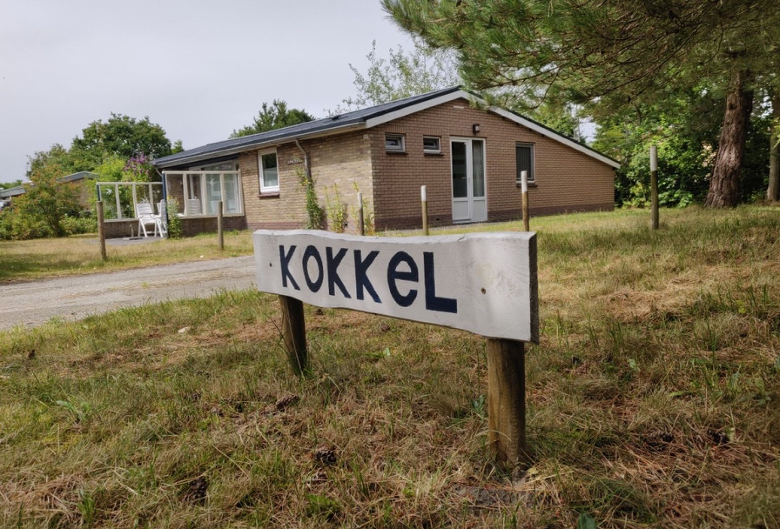 Kokkel