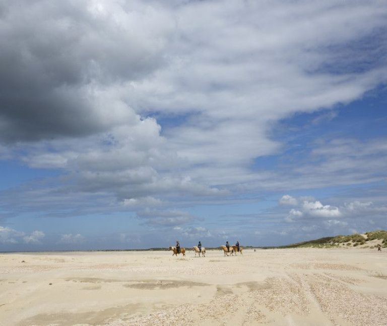 Kleurplaat voor kinderen - VVV Ameland - Het strand is er voor iedereen en er is ruimte genoeg!