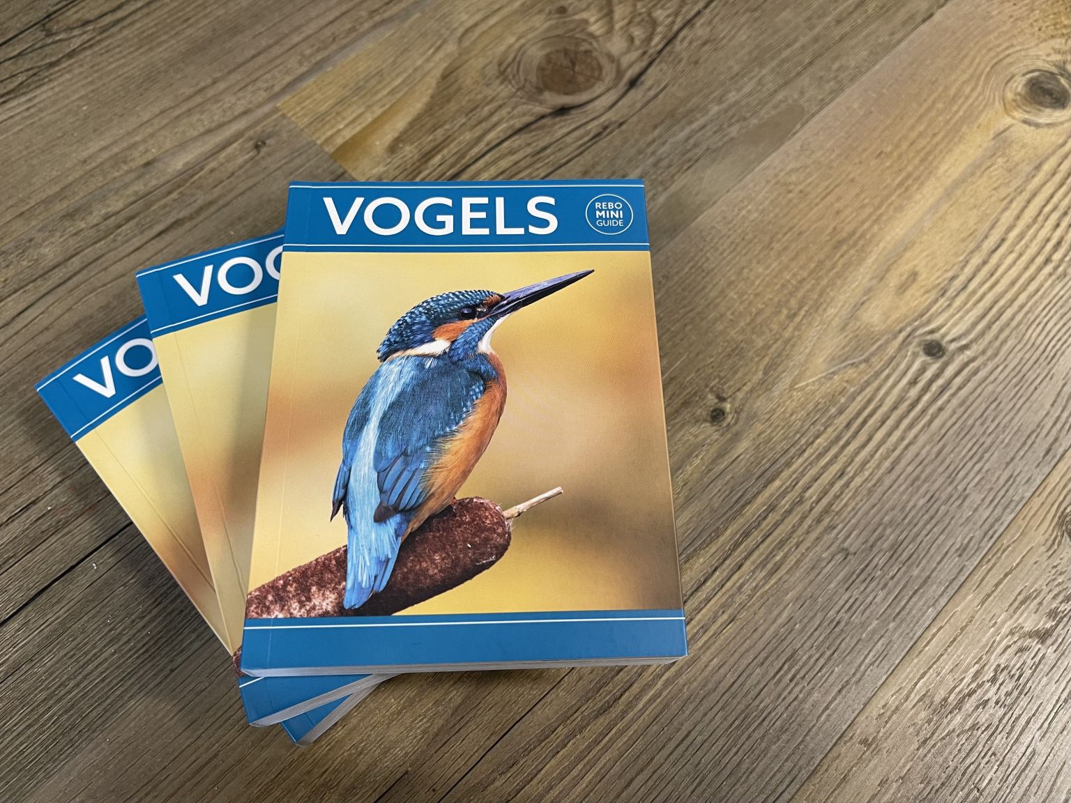 Mini Guide Vogels - Webshop VVV Ameland