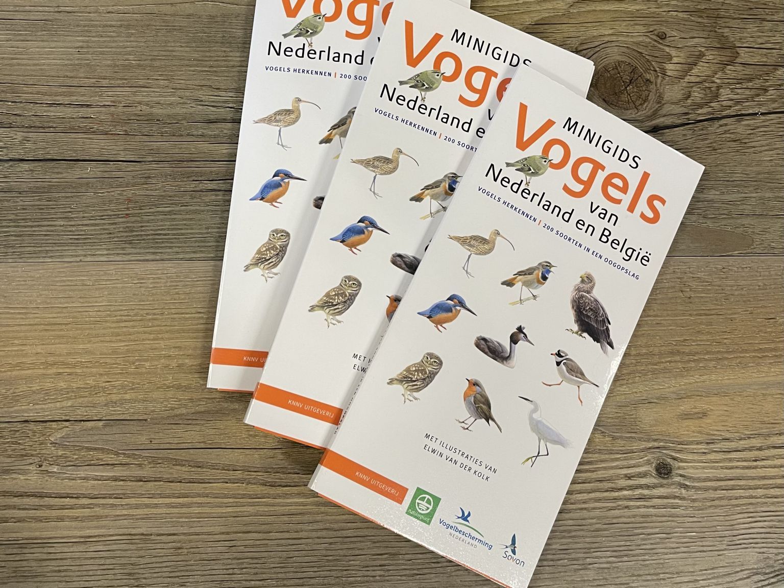 Minigids Vogels van Nederland en België - Webshop VVV Ameland