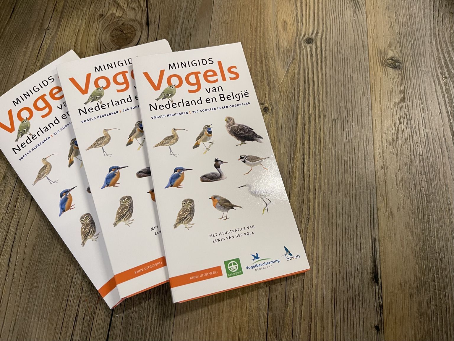 Minigids Vogels van Nederland en België - Webshop VVV Ameland