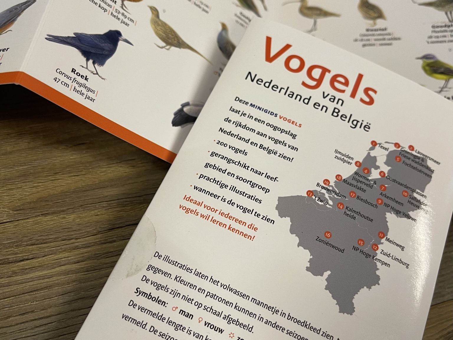 Minigids Vogels van Nederland en België - Webshop VVV Ameland