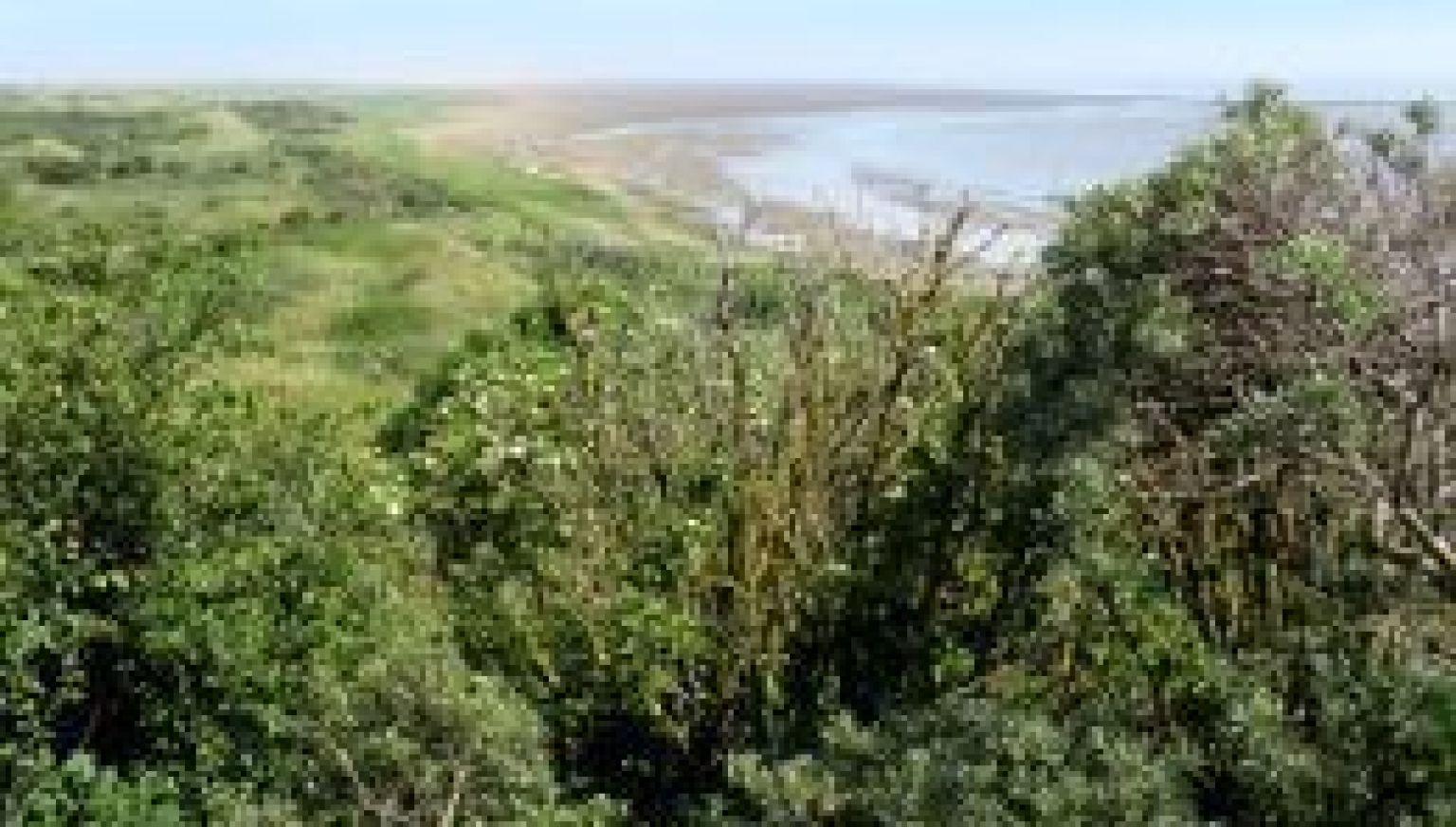 Natuur Ameland