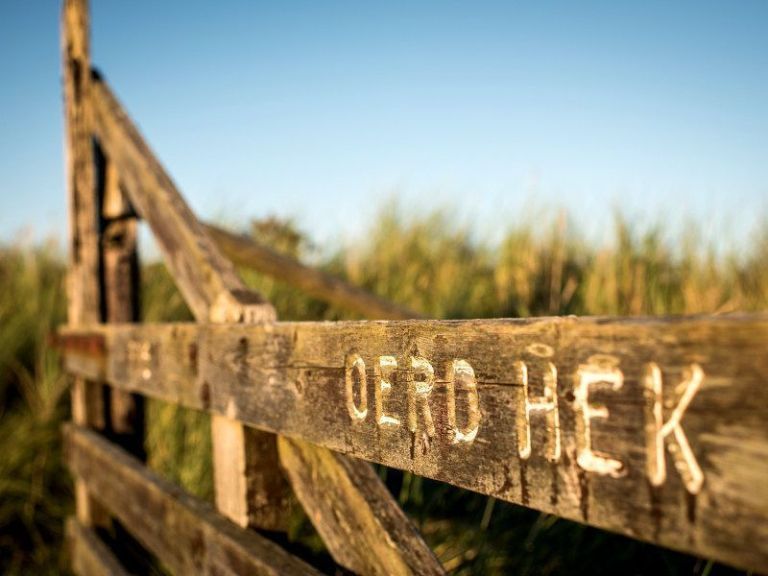 Oerd en Hôn - VVV Ameland