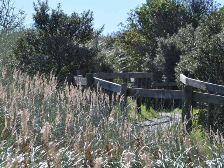 Oerd en Hôn - VVV Ameland