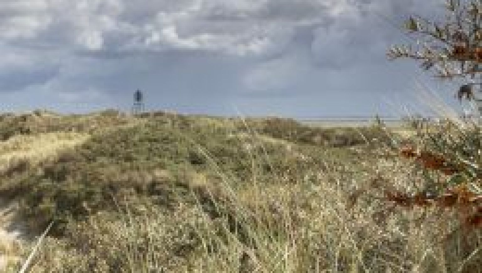 Oerd en Hôn - VVV Ameland