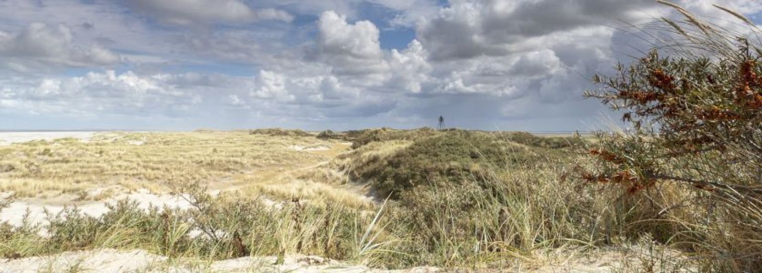 Oerd en Hôn - VVV Ameland