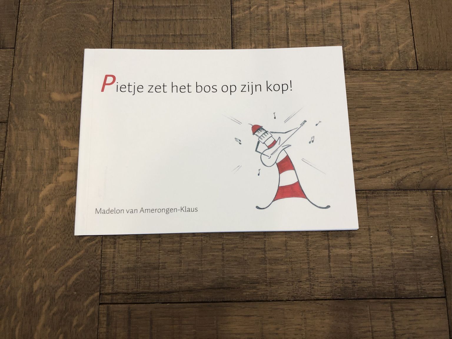 Pietje zet het bos op zijn kop - webshop VVV Ameland