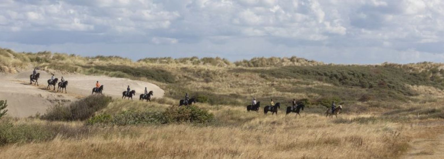 Veelgestelde vragen over activiteiten en evenementen op Ameland - VVV Ameland